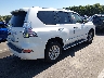 JTJBM7FX6H5****** Salvamento y Destrozados 2017 Lexus GX 460 en Estado de Carolina del Norte
