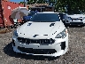 KNAE15LA8M6****** Salvage 2021 Kia Stinger in Florida State