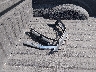 1FTEW1E88FF****** Wrecked 2015 Ford F-150 in Texas State