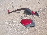 KM8J33AL5MU****** Destrozados 2021 Hyundai Tucson en Estado de Texas