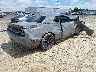 2C3CDZJG5PH****** Salvamento y Destrozados 2023 Dodge Challenger en Estado de Georgia