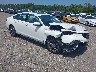 1HGCY1F37PA****** Salvamento y Destrozados 2023 Honda Accord en Jacksonville