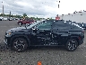 5NMJECDEXRH****** Reparables 2024 Hyundai Tucson en Estado de Oregón