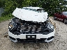 KNDPUCDF9R7****** Destrozados 2024 Kia Sportage en Estado de Wisconsin
