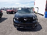3FTCW8TA9SR****** Usados 2025 Ford Maverick en Estado de Illinois