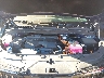KNDNC5KA3S6****** Repairable 2025 Kia Carnival Hybrid in Phoenix