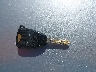 1D7HU18N46J****** Salvamento 2006 Dodge Ram 1500 en Estado de Missouri