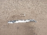 1C4RJFAG1FC****** Wrecked 2015 Jeep Grand Cherokee in Hawaii State