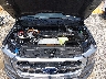 1FTFW1ED3PF****** Repairable 2023 Ford F-150 in Gulf Coast