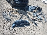 JN8BT3DD0PW****** Repairable 2023 Nissan Rogue
