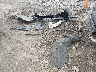 1C4RDJAG9MC****** Wrecked 2021 Dodge Durango in Ohio State