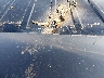 1GNSKCKC3KR****** Repairable 2019 Chevrolet Tahoe