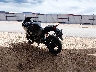 MLHNC5108F5****** Salvage and Repairable 2015 Honda CBR300R in Rec Rides Online Exclusive