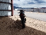 MLHNC5108F5****** Salvage and Repairable 2015 Honda CBR300R in Utah State