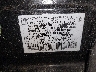 3N1AB8CV4RY****** Used 2024 Nissan Sentra in Long Island