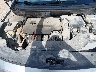 5NPE24AF3GH****** Repairable 2016 Hyundai Sonata in Corpus Christi
