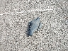 5FNRL5H27DB****** Wrecked 2013 Honda Odyssey in Hawaii State