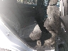 2GNAXUEV4L6****** Wrecked 2020 Chevrolet Equinox in Suffolk