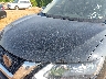 KNMAT2MT5KP****** Salvage and Repairable 2019 Nissan Rogue in Missouri State