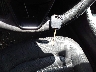 1FA6P0H75F5****** Salvamento 2015 Ford Fusion en Estado de Florida