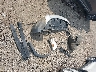 5LMCJ1C99KU****** Wrecked 2019 Lincoln MKC in Louisiana State