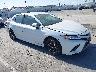4T1K61AK1LU****** Salvage and Wrecked 2020 Toyota Camry in Los Angeles South