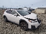 JF2GTADC8K8****** Salvage and Wrecked 2019 Subaru Crosstrek in Eugene