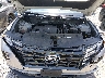 KM8JB3AE6PU****** Repairable 2023 Hyundai Tucson in Nashville