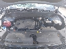 5XYRL4JC6SG****** Repairable 2025 Kia Sorento in Tampa North