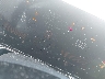 5XYRL4JC6SG****** Repairable 2025 Kia Sorento in Florida State