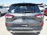 1FMCU0F68MU****** Destrozados 2021 Ford Escape