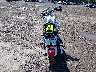 1HD1CGP136K****** Salvage and Repairable 2006 Harley-Davidson Sportster 1200 Custom in New Jersey State