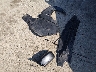 3FAHP0HG8BR****** Wrecked 2011 Ford Fusion in Illinois State