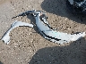 1G1ZD5ST1RF****** Destrozados 2024 Chevrolet Malibu en Estado de Texas