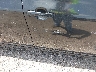 JTDBU4EE8B9****** Salvage and Wrecked 2011 Toyota Corolla in Corpus Christi