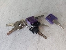 5ZT2AVUB4KB****** Salvage 2019 Forest River River in Kansas State