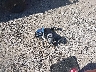 5XYKT3A67EG****** Wrecked 2014 Kia Sorento in Iowa State