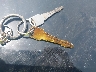 1GDDM19W5WB****** Salvage 1998 GMC Safari in Illinois State