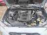 JF1VA1B6XK9****** Repairable 2019 Subaru WRX in Indianapolis