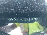 KMHLL4DG2SU****** Salvage and Wrecked 2025 Hyundai Elantra in Long Island