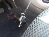 JTMBD32V365****** Salvage 2006 Toyota RAV4 in Maryland State