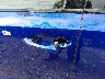5J8YE1H07SL****** Salvage and Repairable 2025 Acura MDX in Illinois State