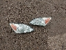 5J6RE4H36AL****** Wrecked 2010 Honda CR-V in Ohio State