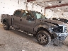 1FTPW14VX9F****** Salvamento y Destrozados 2009 Ford F-150 en Flint