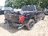 1FTFW5L82RF****** Salvage and Wrecked 2024 Ford F-150 in Maryland State