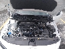 KMHLM4DG3TU****** Reparables 2026 Hyundai Elantra en Lexington