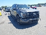 1FTFW1E88MF****** Salvage and Wrecked 2021 Ford F-150 in Clearwater