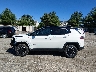 3C4NJDDB6MT****** Salvamento 2021 Jeep Compass