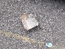 1D8HD58206F****** Wrecked 2006 Dodge Durango in Texas State