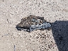 1C3CCCBB7FN****** Wrecked 2015 Chrysler 200 in Iowa State